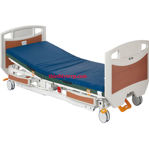 Giường bệnh nhân VPIC P300